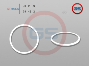 GS ST01306