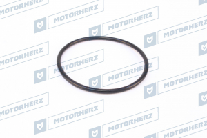 MOTORHERZ HR0485A