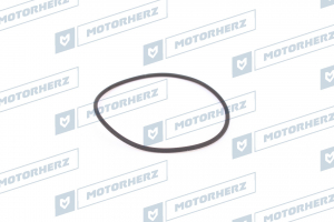 MOTORHERZ HR0353