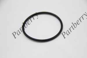 PARTBERRY PB132906