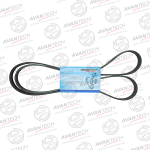 AVANTECH 5PK1000