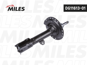 MILES DG1161301