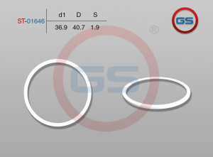 GS ST01646