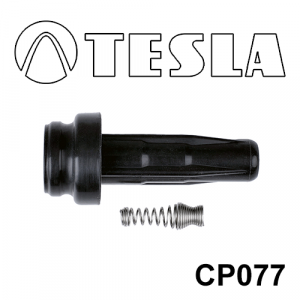 TESLA CP077