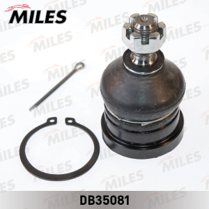 MILES DB35081