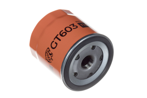 RAF FILTER GT603