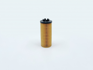 BIG FILTER GB1494