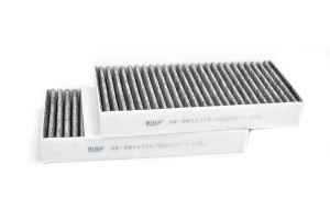 BIG FILTER GB98117C