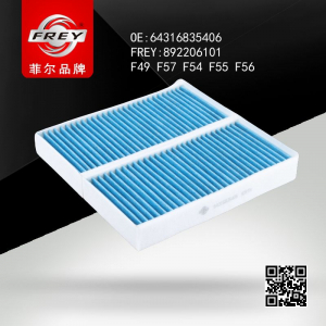 FREY 892206101