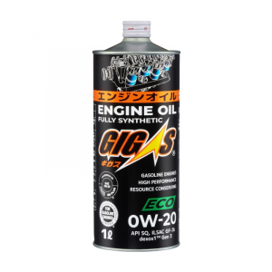 GIGAS G0020001