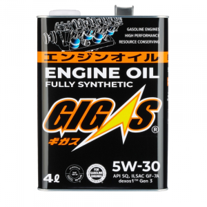 GIGAS G0530004