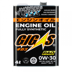 GIGAS G0030004