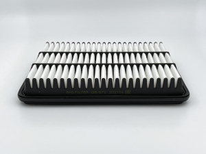 BIG FILTER GB979