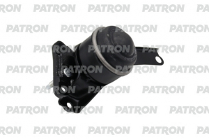 PATRON PSE30163