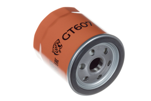 RAF FILTER GT607