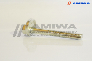 AMIWA 0120717