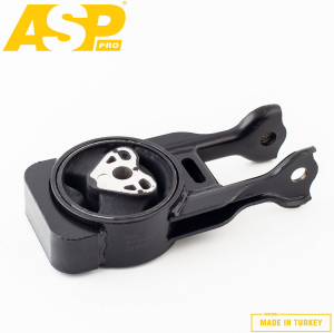 ASP RJ80022