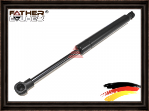 FATHER F0078S45