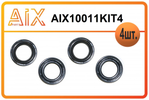 AIX AIX10011KIT4