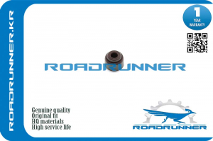 ROADRUNNER RR9091302089