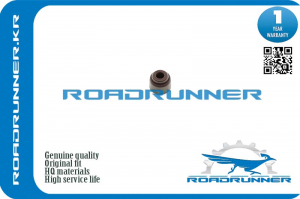 ROADRUNNER RR9091302086