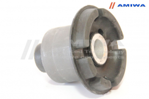 AMIWA 0240011