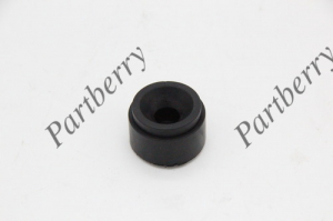PARTBERRY PB560301