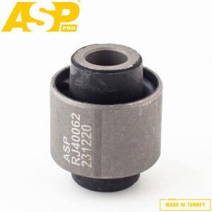 ASP RJ40062