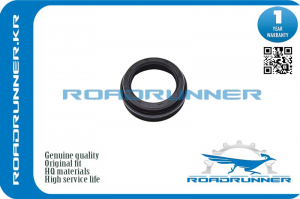 ROADRUNNER RR9031348001