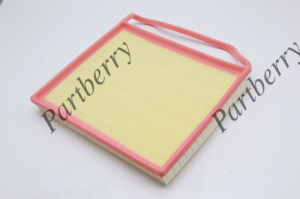 PARTBERRY PB130263