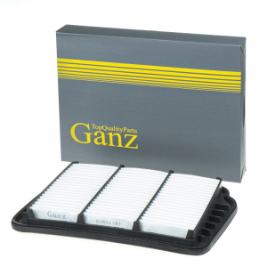 GANZ GIR04181